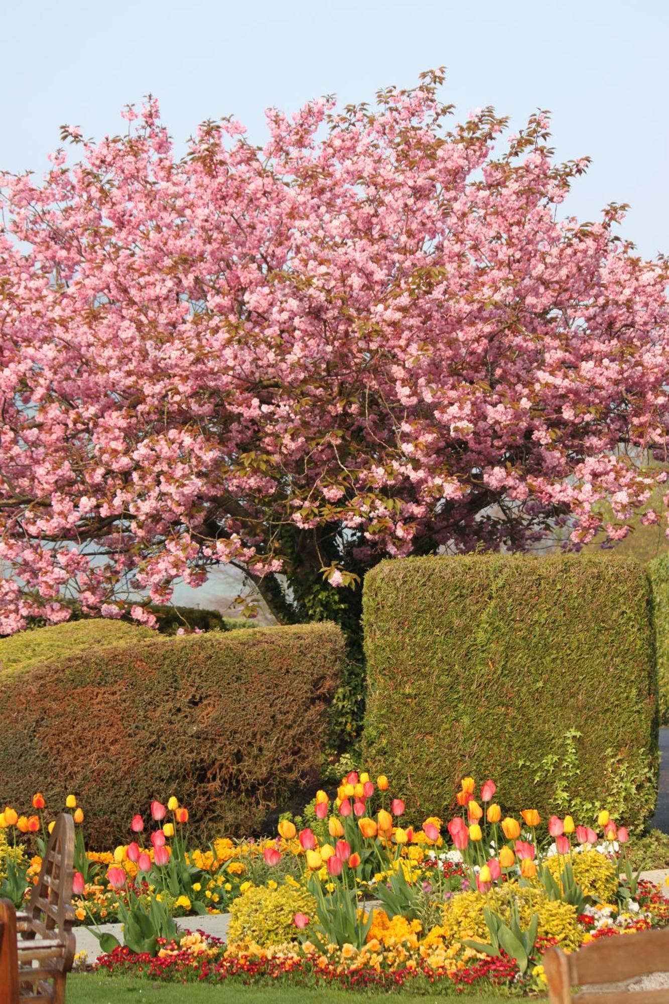 Lyzzick Hall Hotel Applethwaite المظهر الخارجي الصورة